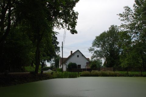 Pohled na rybník 2